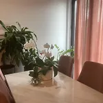 Lux * Tirana